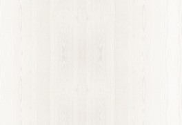 木纹|白色背景