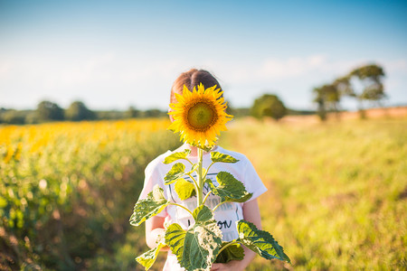 小女孩在田野里举着向日葵