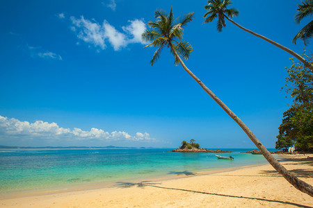 平静天空下的绿色椰子棕榈海边沙滩