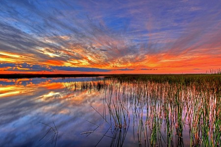 日出景观彩色沼泽
